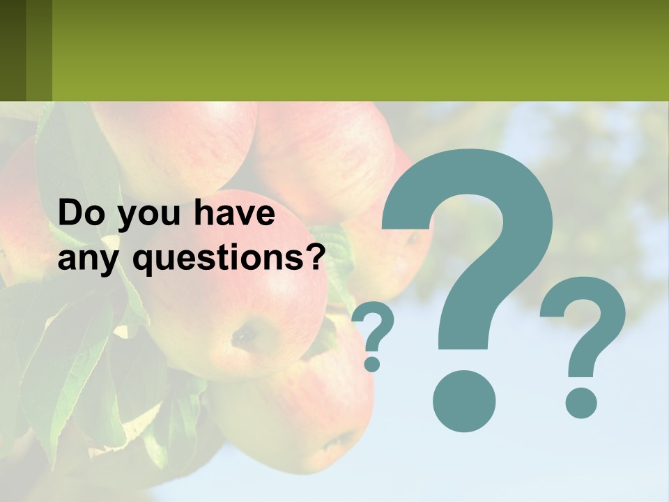 A Bunch Of Apples Hanging From A Tree PowerPoint Template