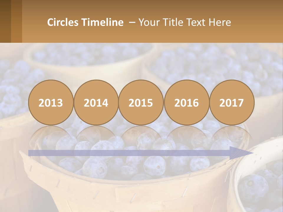 A Bunch Of Baskets Filled With Lots Of Blueberries PowerPoint Template