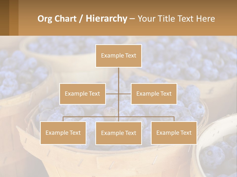 A Bunch Of Baskets Filled With Lots Of Blueberries PowerPoint Template