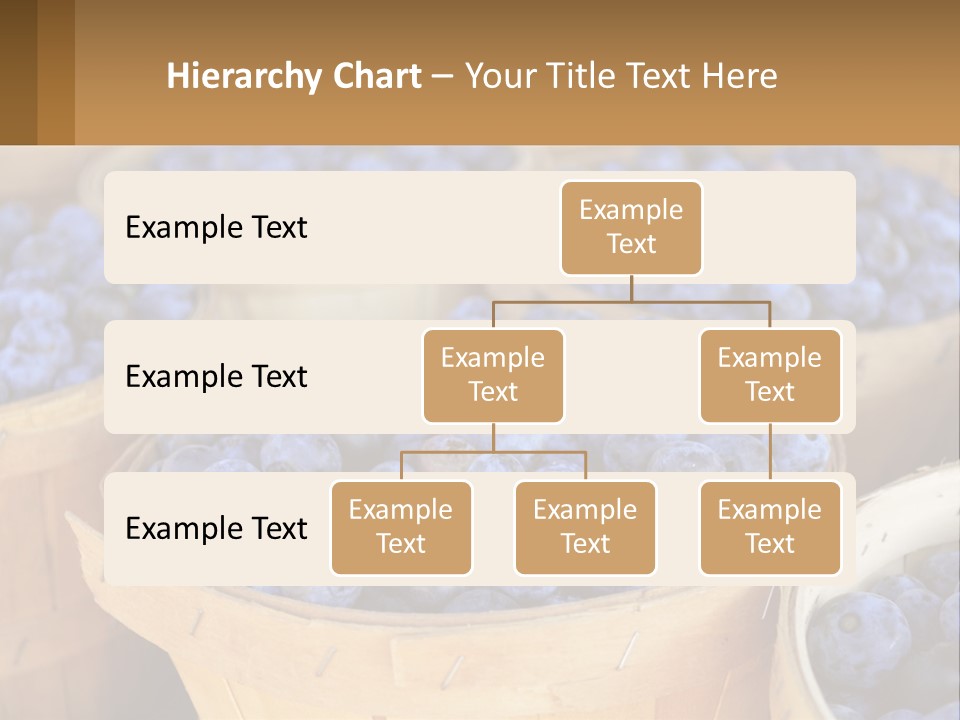 A Bunch Of Baskets Filled With Lots Of Blueberries PowerPoint Template