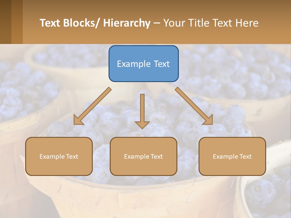 A Bunch Of Baskets Filled With Lots Of Blueberries PowerPoint Template