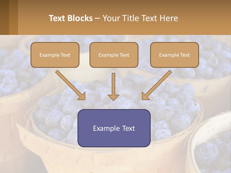 A Bunch Of Baskets Filled With Lots Of Blueberries PowerPoint Template