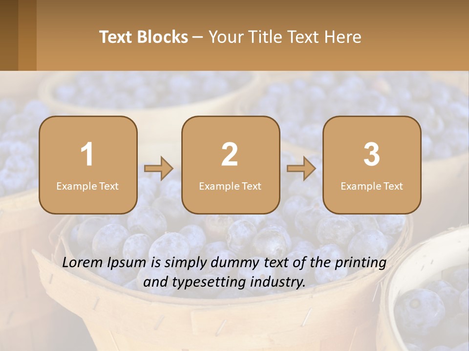 A Bunch Of Baskets Filled With Lots Of Blueberries PowerPoint Template