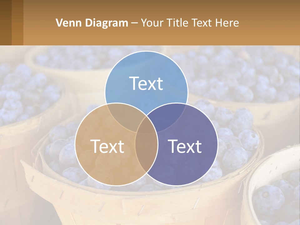 A Bunch Of Baskets Filled With Lots Of Blueberries PowerPoint Template