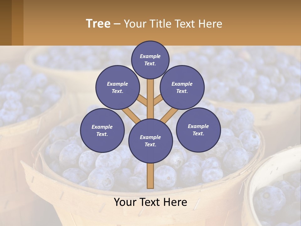 A Bunch Of Baskets Filled With Lots Of Blueberries PowerPoint Template