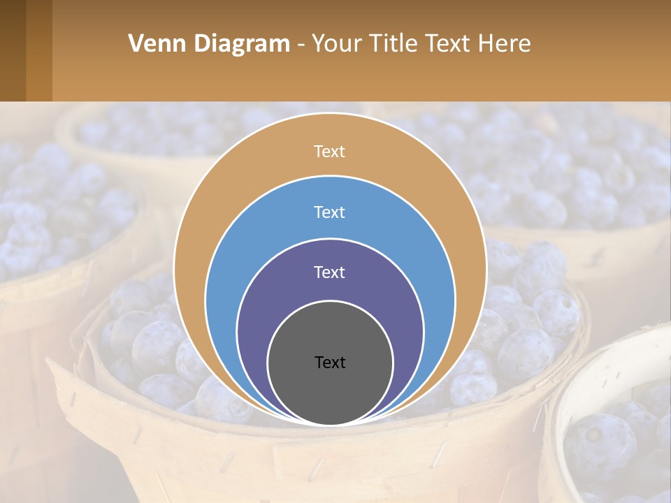 A Bunch Of Baskets Filled With Lots Of Blueberries PowerPoint Template