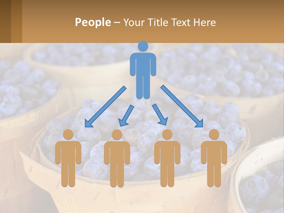 A Bunch Of Baskets Filled With Lots Of Blueberries PowerPoint Template