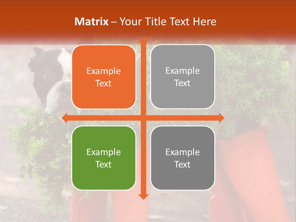 A Boston Terrier Dressed Up In A Carrot Costume PowerPoint Template