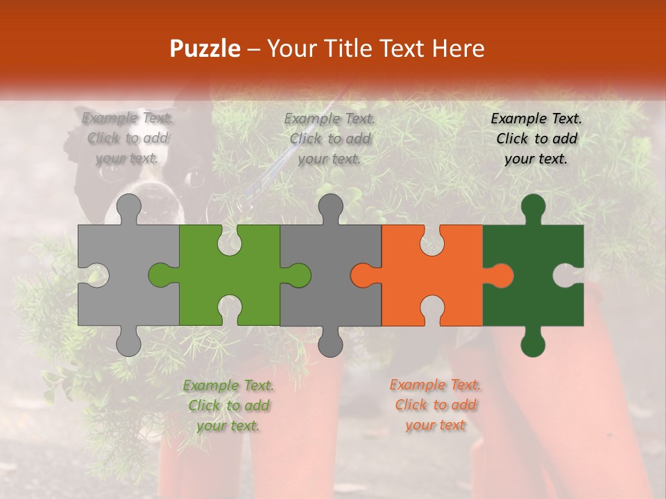 A Boston Terrier Dressed Up In A Carrot Costume PowerPoint Template