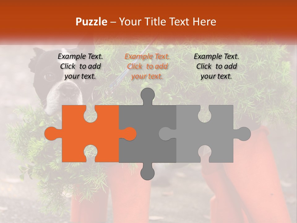 A Boston Terrier Dressed Up In A Carrot Costume PowerPoint Template