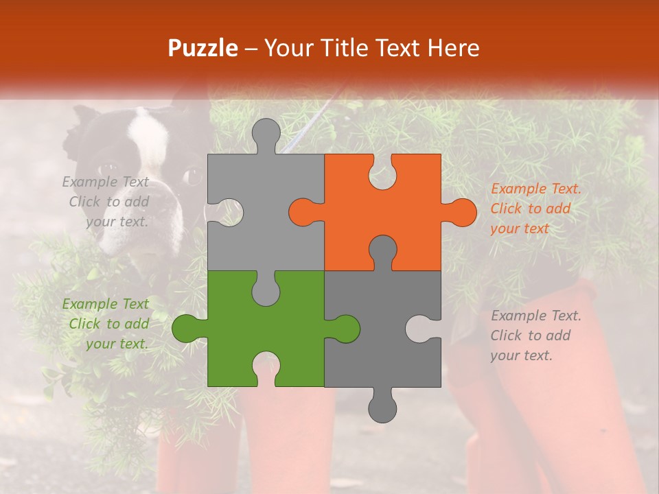 A Boston Terrier Dressed Up In A Carrot Costume PowerPoint Template