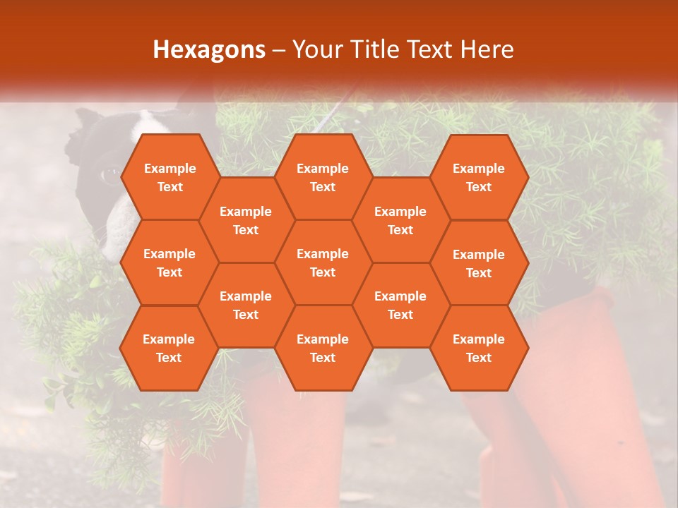 A Boston Terrier Dressed Up In A Carrot Costume PowerPoint Template