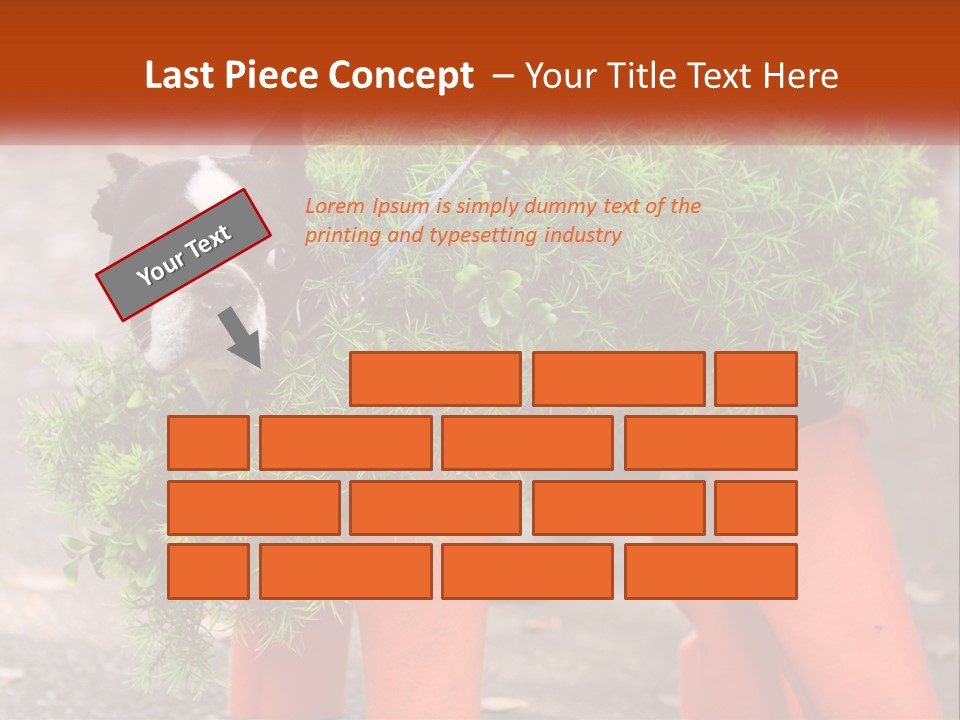A Boston Terrier Dressed Up In A Carrot Costume PowerPoint Template