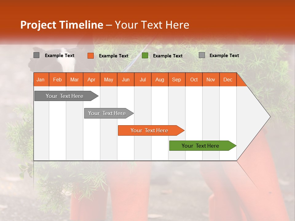 A Boston Terrier Dressed Up In A Carrot Costume PowerPoint Template