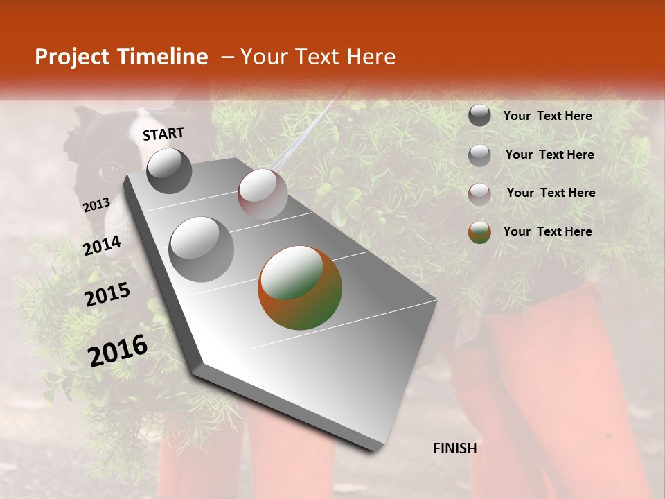 A Boston Terrier Dressed Up In A Carrot Costume PowerPoint Template
