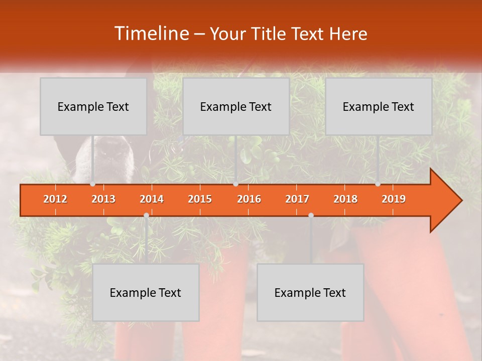 A Boston Terrier Dressed Up In A Carrot Costume PowerPoint Template