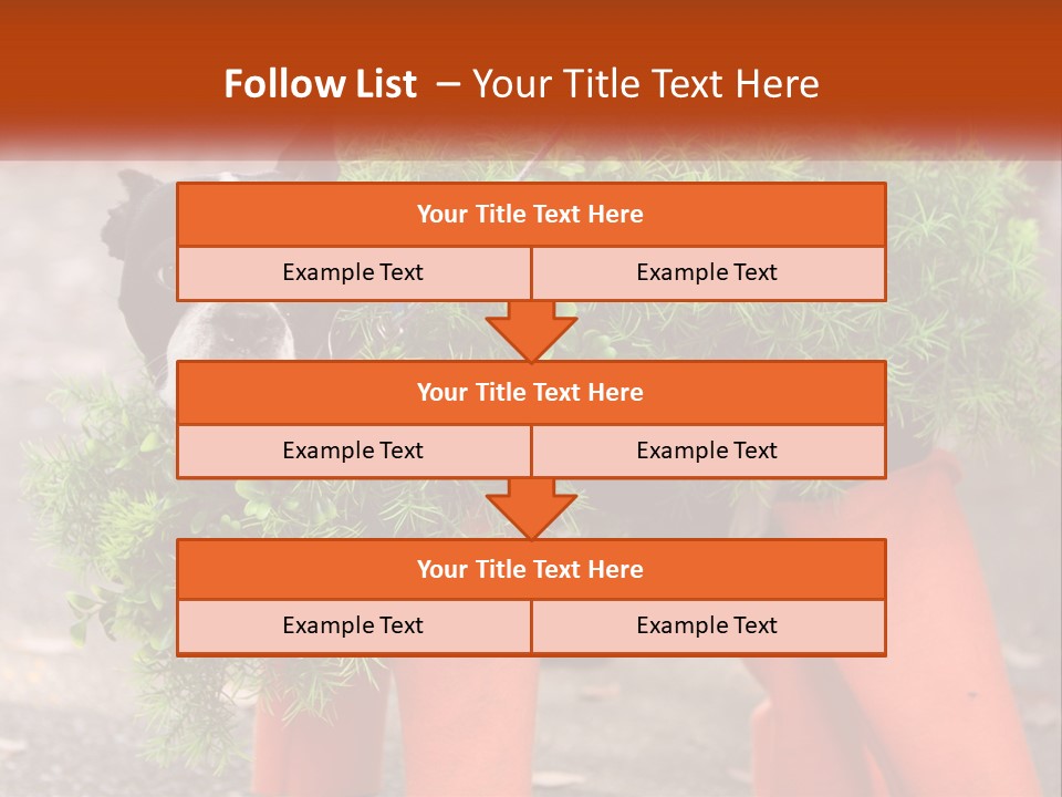 A Boston Terrier Dressed Up In A Carrot Costume PowerPoint Template