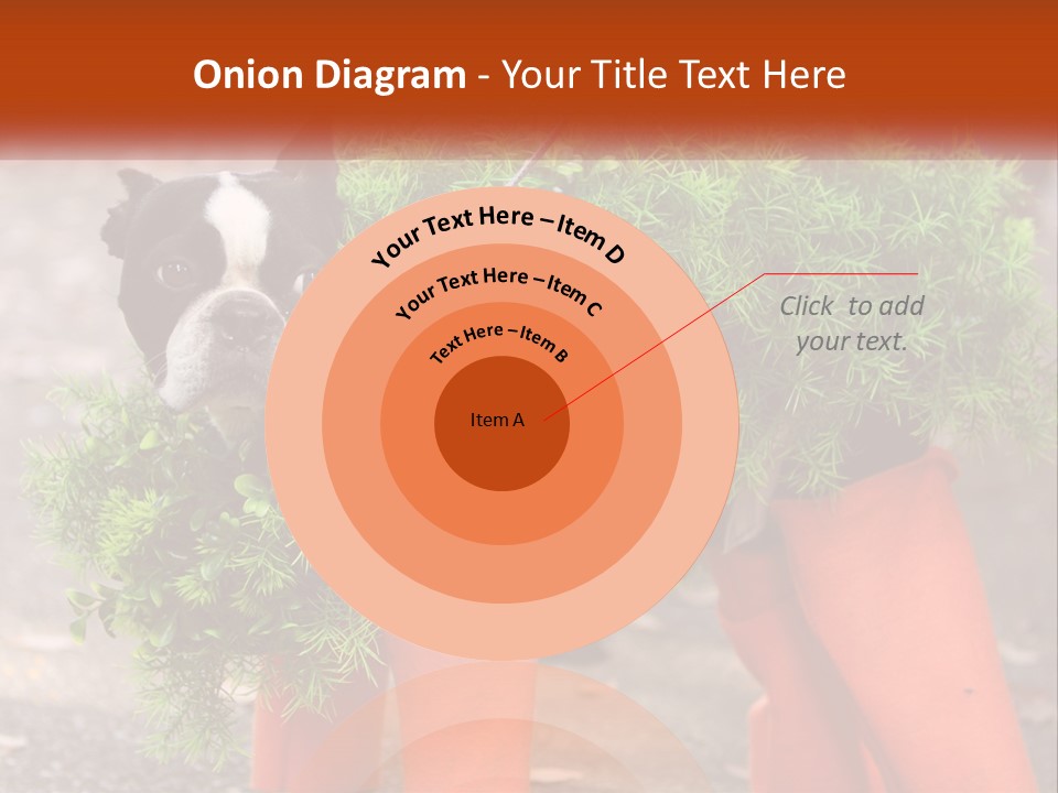 A Boston Terrier Dressed Up In A Carrot Costume PowerPoint Template