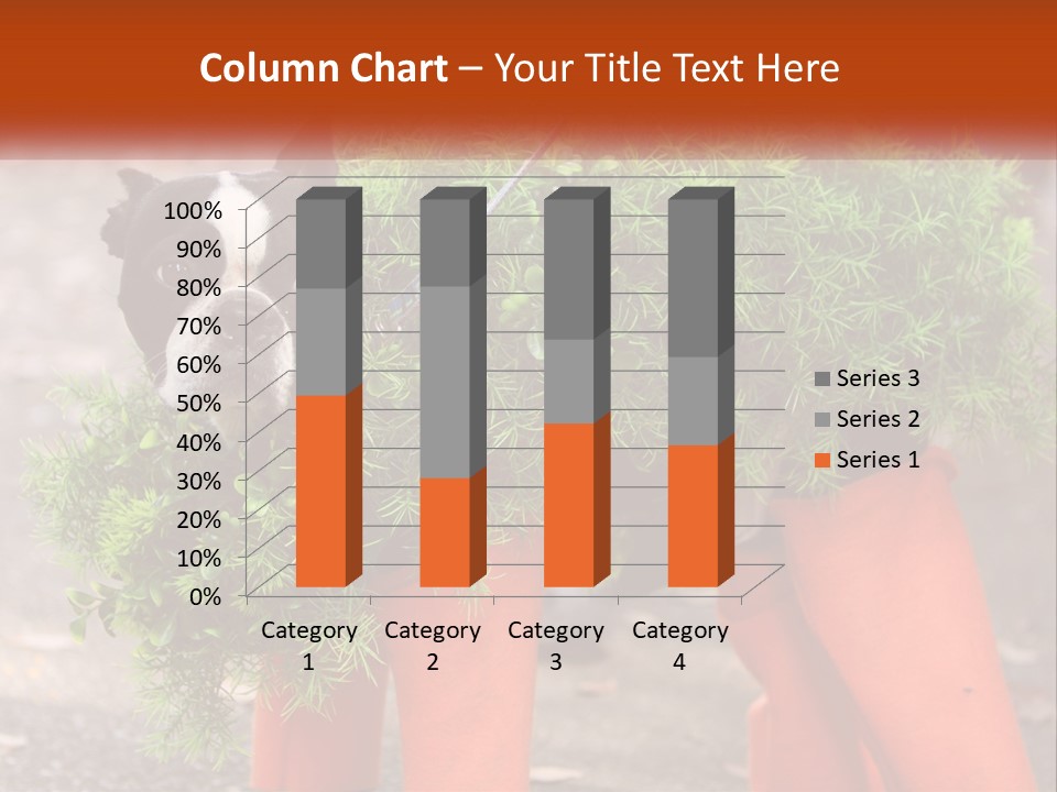A Boston Terrier Dressed Up In A Carrot Costume PowerPoint Template