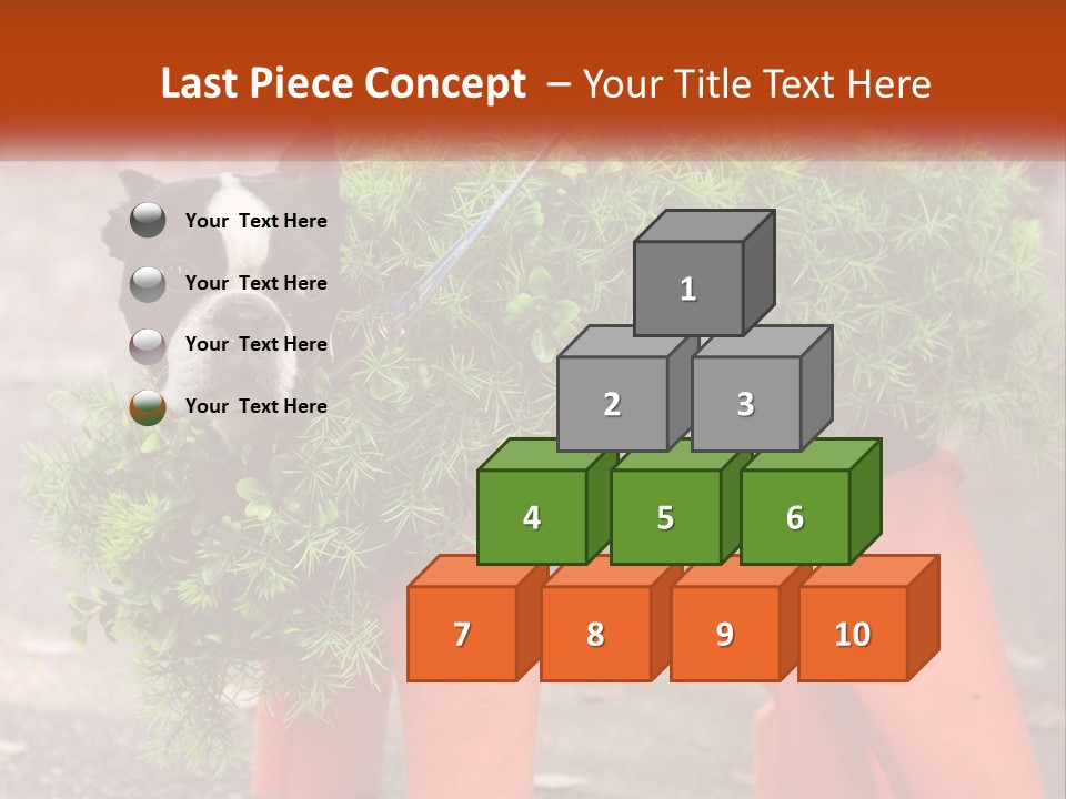 A Boston Terrier Dressed Up In A Carrot Costume PowerPoint Template