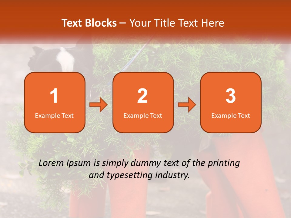 A Boston Terrier Dressed Up In A Carrot Costume PowerPoint Template