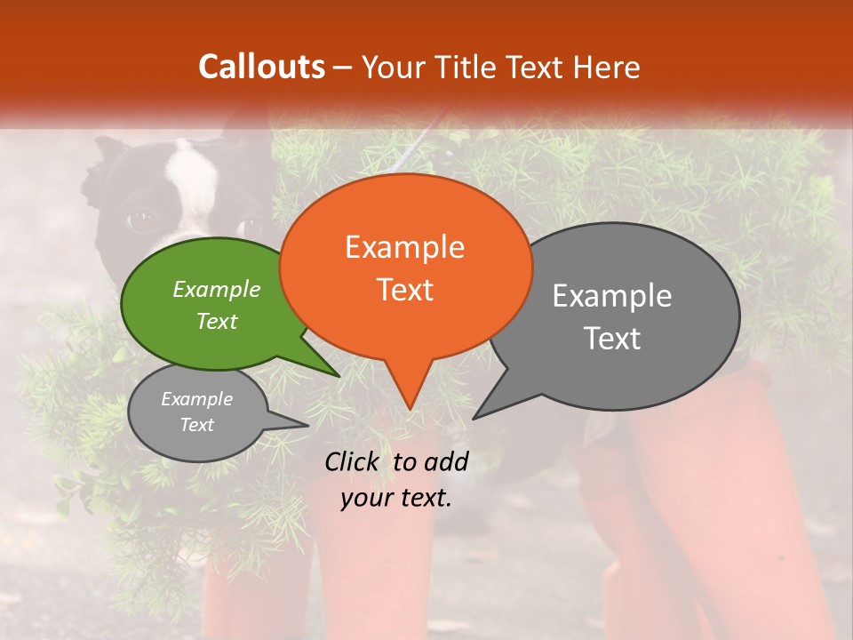 A Boston Terrier Dressed Up In A Carrot Costume PowerPoint Template