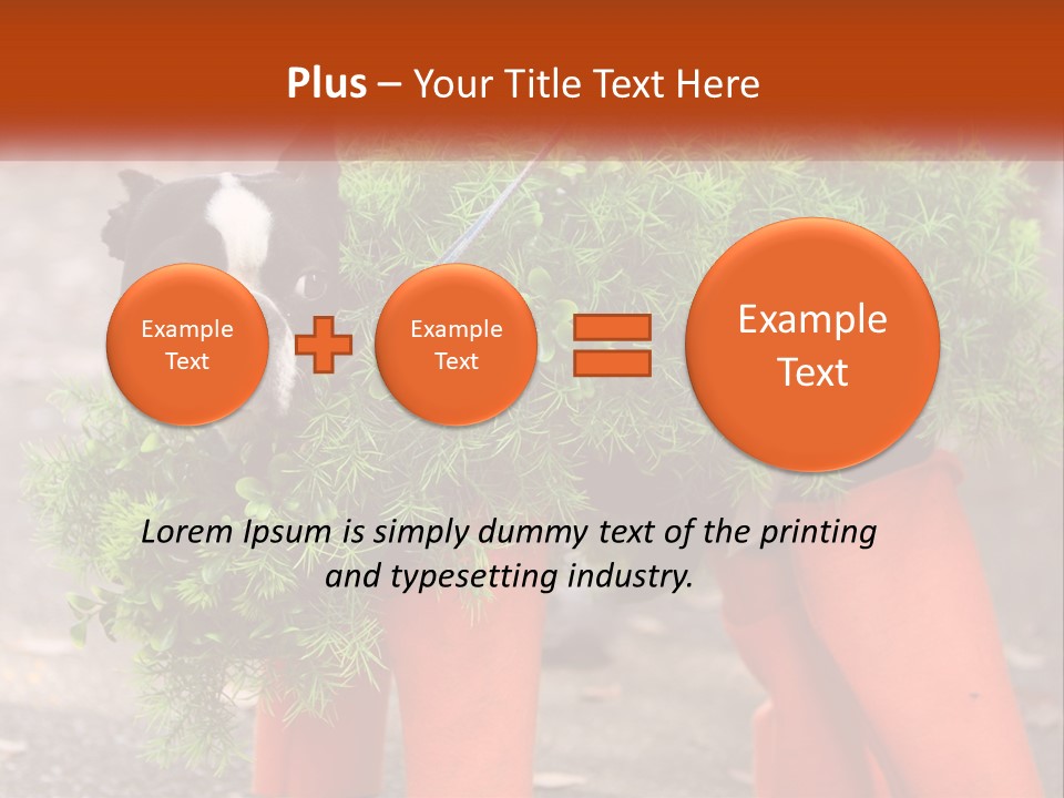 A Boston Terrier Dressed Up In A Carrot Costume PowerPoint Template
