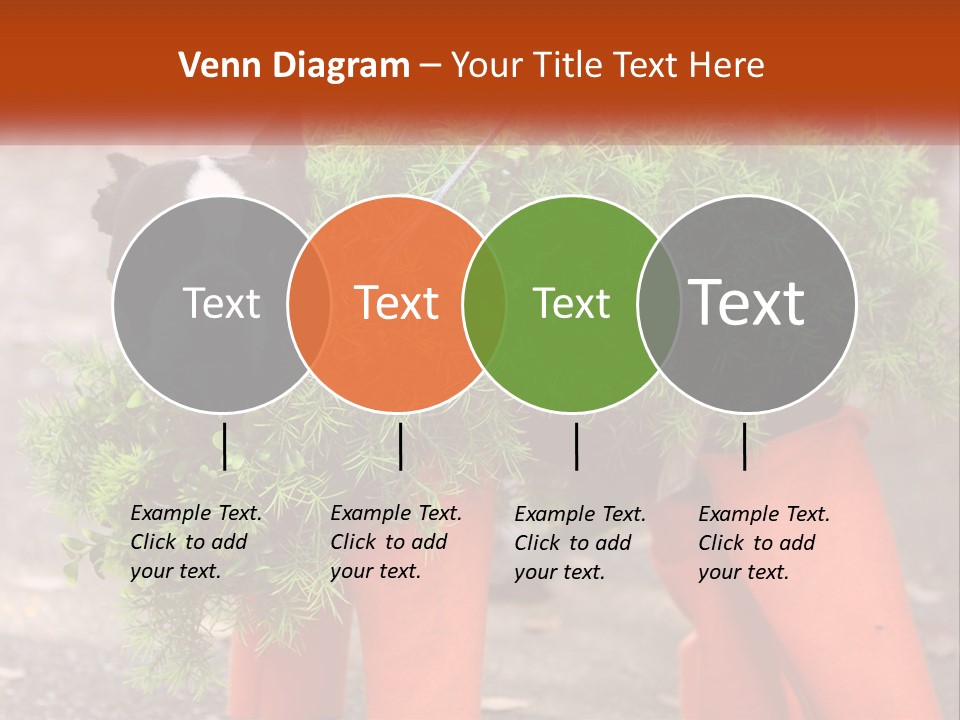 A Boston Terrier Dressed Up In A Carrot Costume PowerPoint Template