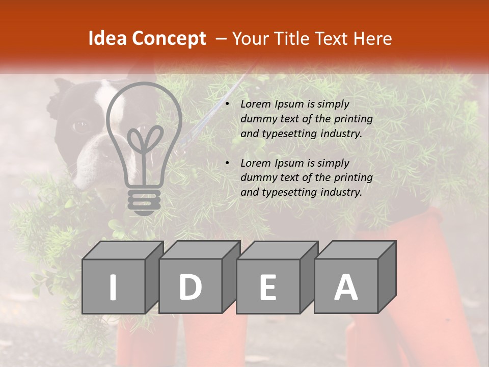 A Boston Terrier Dressed Up In A Carrot Costume PowerPoint Template