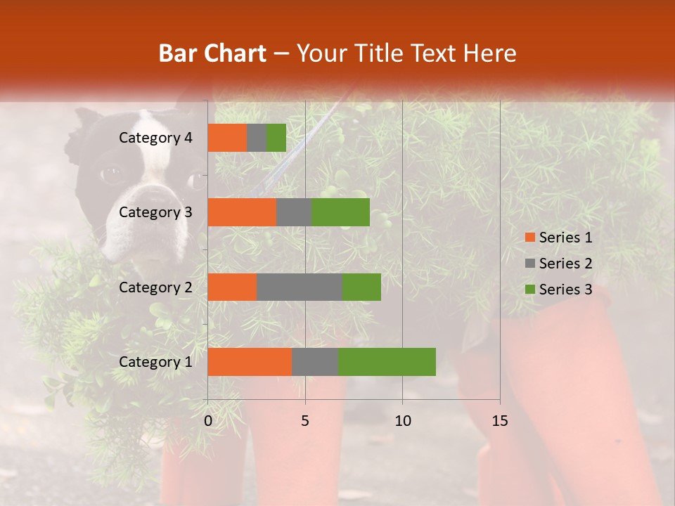 A Boston Terrier Dressed Up In A Carrot Costume PowerPoint Template