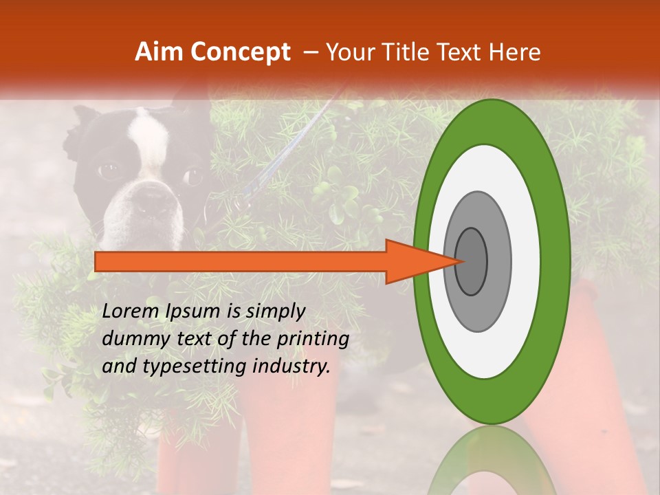 A Boston Terrier Dressed Up In A Carrot Costume PowerPoint Template