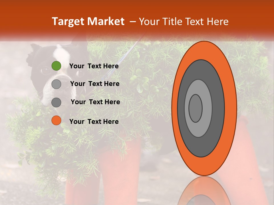 A Boston Terrier Dressed Up In A Carrot Costume PowerPoint Template