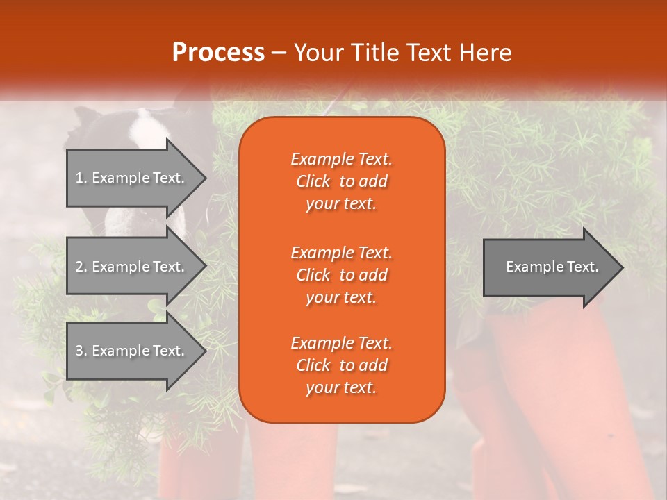 A Boston Terrier Dressed Up In A Carrot Costume PowerPoint Template