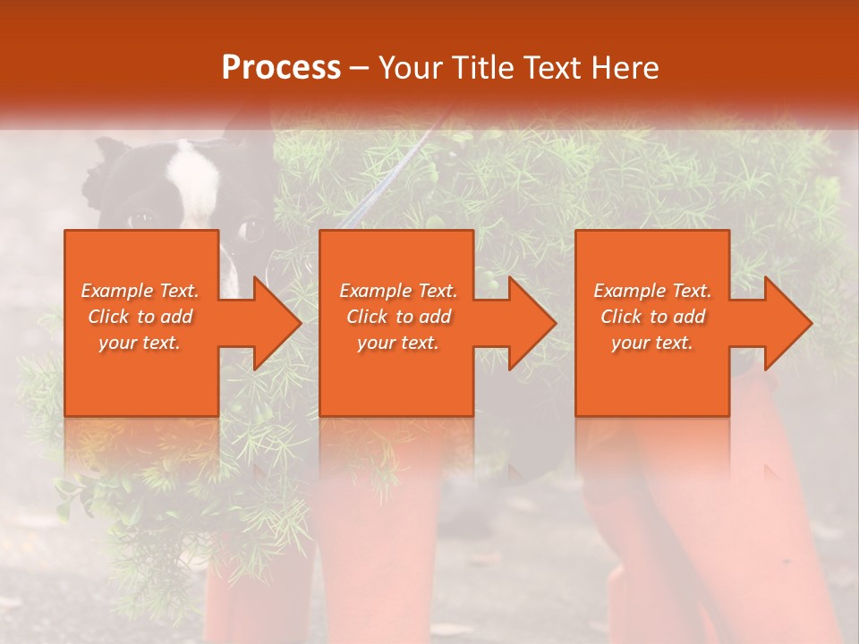 A Boston Terrier Dressed Up In A Carrot Costume PowerPoint Template