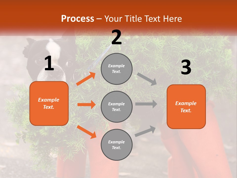 A Boston Terrier Dressed Up In A Carrot Costume PowerPoint Template