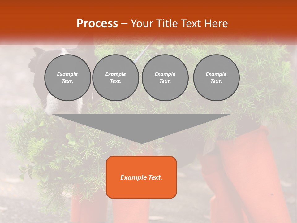 A Boston Terrier Dressed Up In A Carrot Costume PowerPoint Template