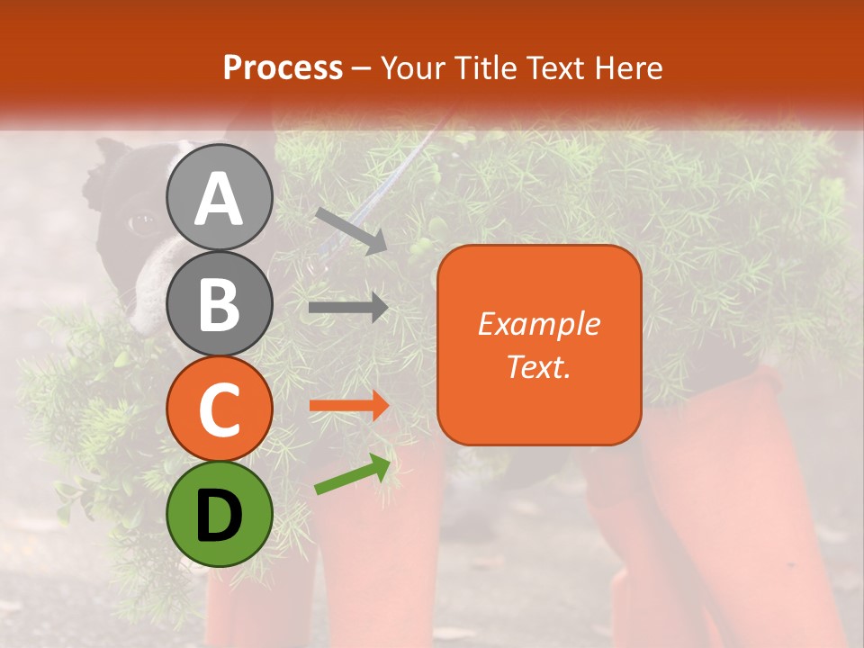 A Boston Terrier Dressed Up In A Carrot Costume PowerPoint Template