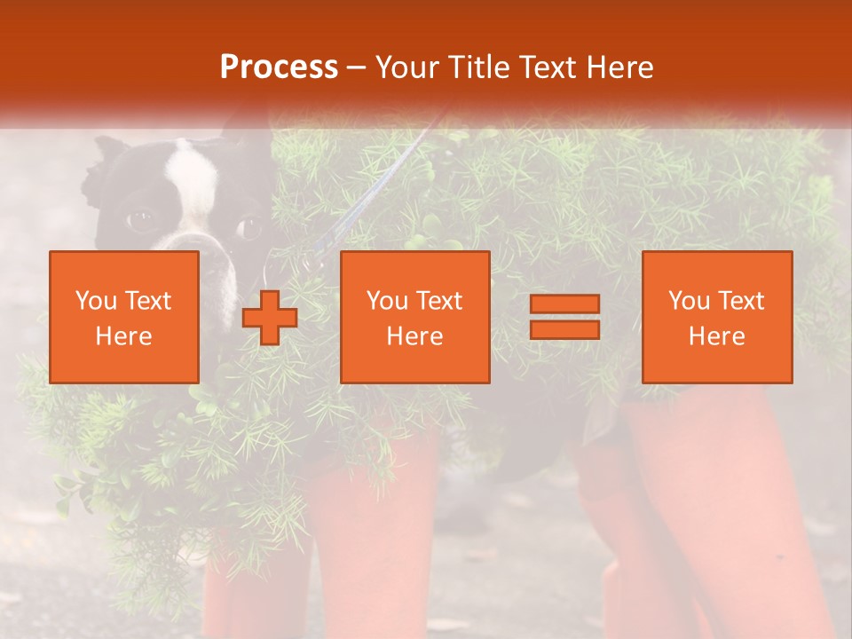 A Boston Terrier Dressed Up In A Carrot Costume PowerPoint Template
