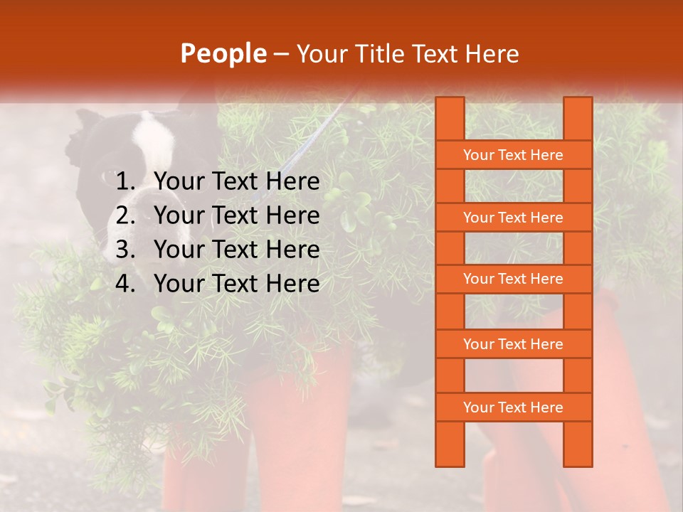 A Boston Terrier Dressed Up In A Carrot Costume PowerPoint Template