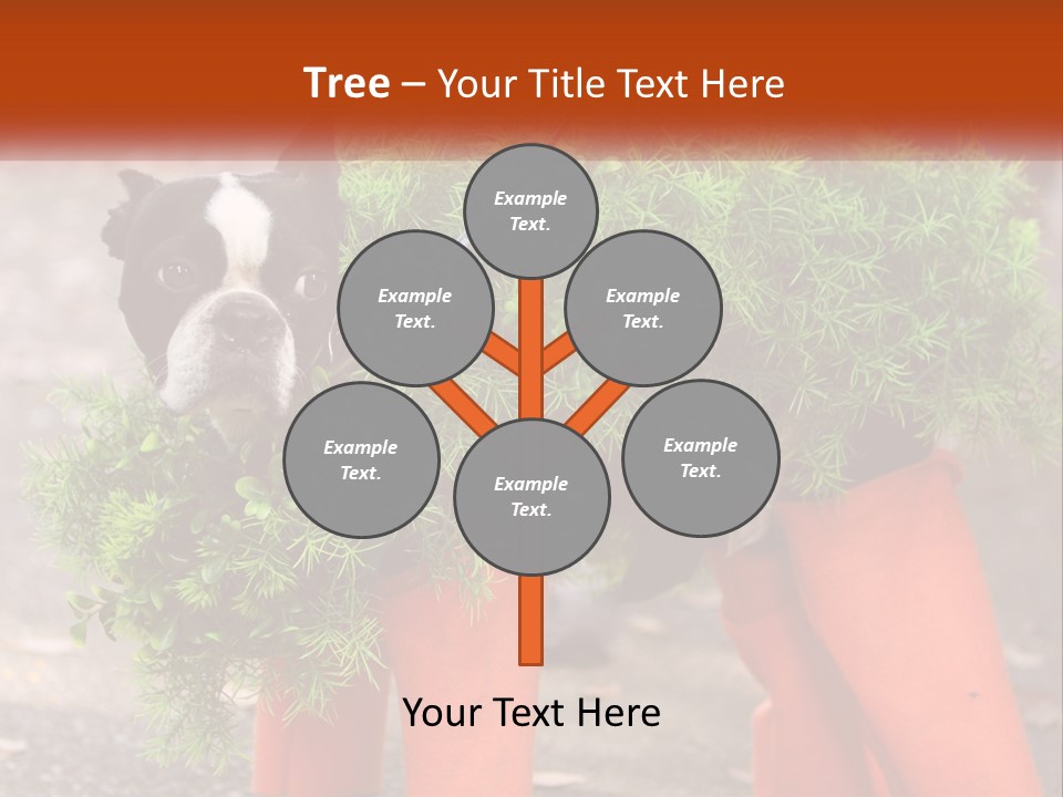 A Boston Terrier Dressed Up In A Carrot Costume PowerPoint Template