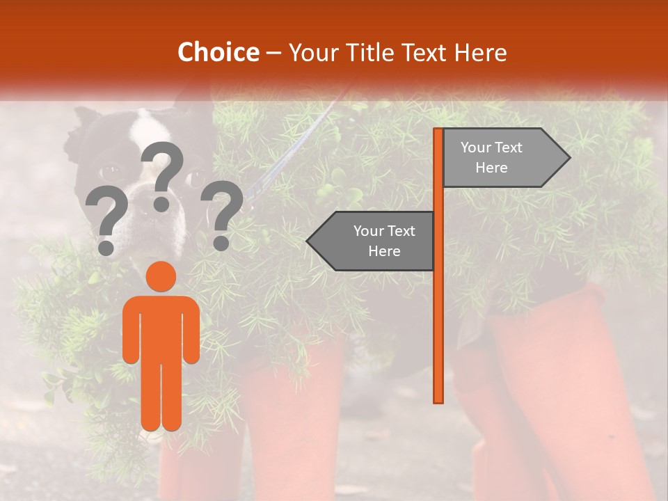 A Boston Terrier Dressed Up In A Carrot Costume PowerPoint Template
