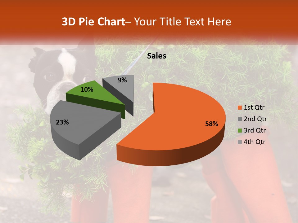 A Boston Terrier Dressed Up In A Carrot Costume PowerPoint Template