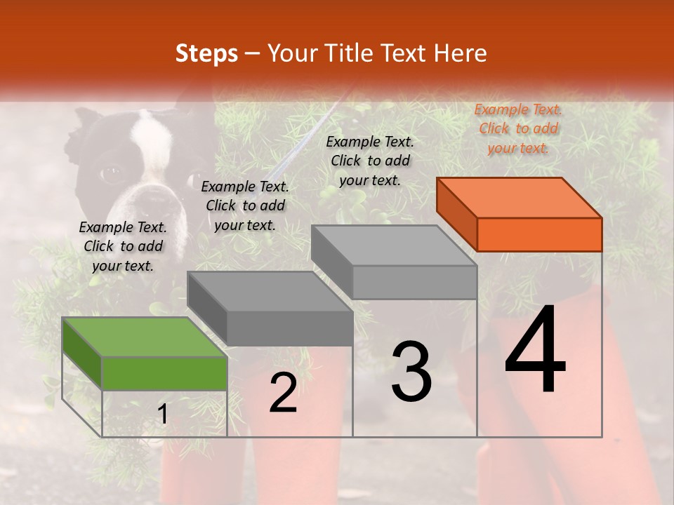 A Boston Terrier Dressed Up In A Carrot Costume PowerPoint Template