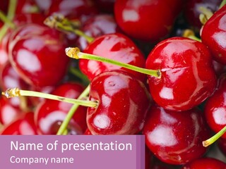 A Bunch Of Cherries With Water Droplets On Them PowerPoint Template