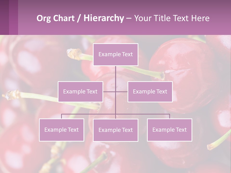 A Bunch Of Cherries With Water Droplets On Them PowerPoint Template