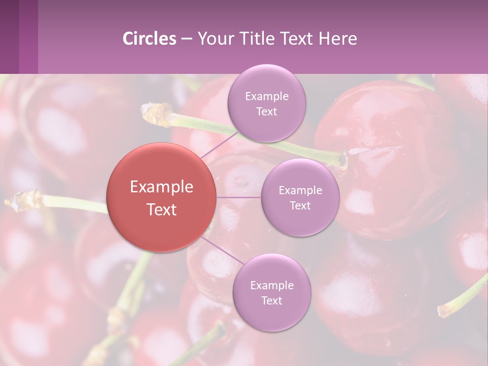 A Bunch Of Cherries With Water Droplets On Them PowerPoint Template