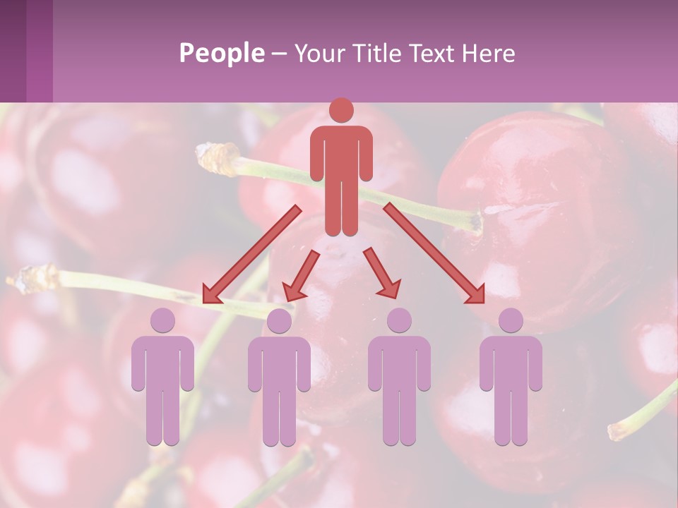 A Bunch Of Cherries With Water Droplets On Them PowerPoint Template