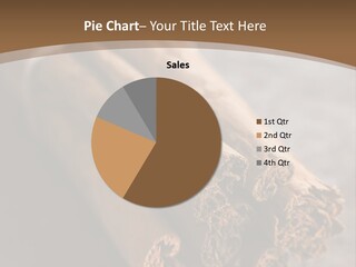 Cinnamons On A Table With A Brown Background PowerPoint Template