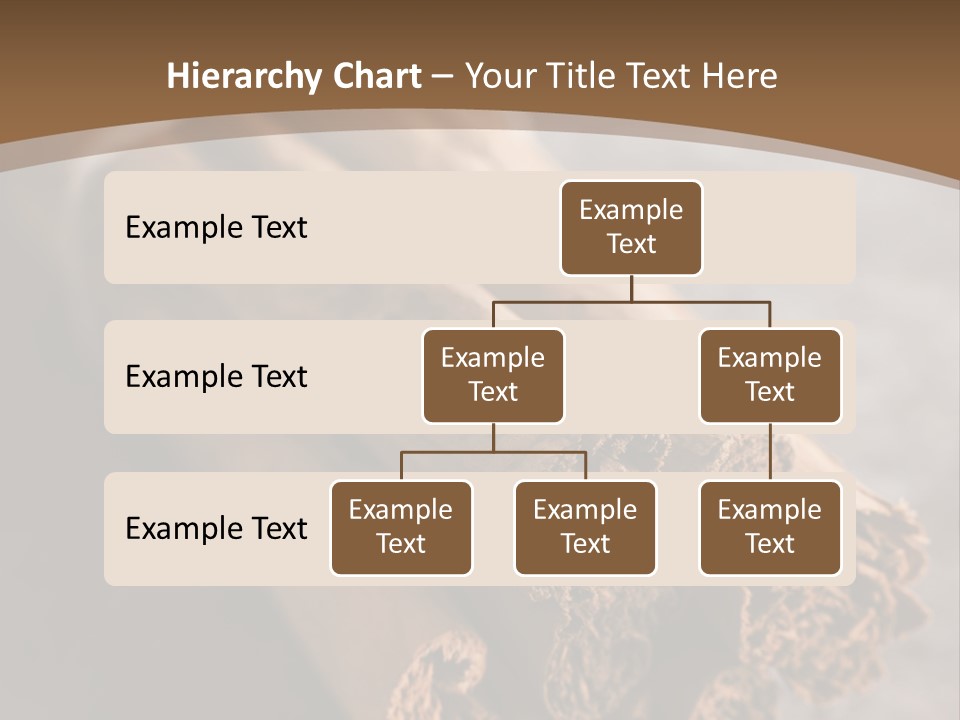 Cinnamons On A Table With A Brown Background PowerPoint Template