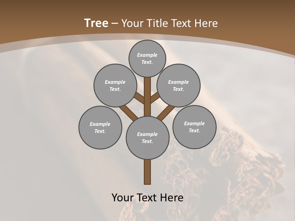 Cinnamons On A Table With A Brown Background PowerPoint Template